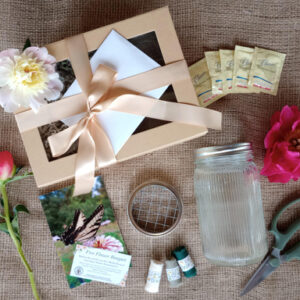 Bloom & Arrange Box