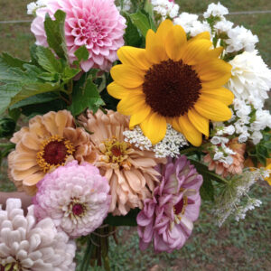 Summer Flower Subscription (July - Mid August)