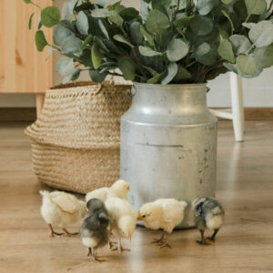 Farmhouse Living