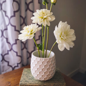 Blooms for Home