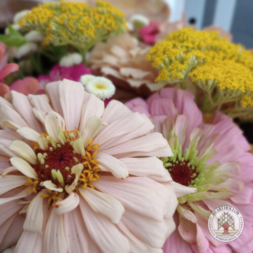 Summer Flower Subscription (July - Mid August)