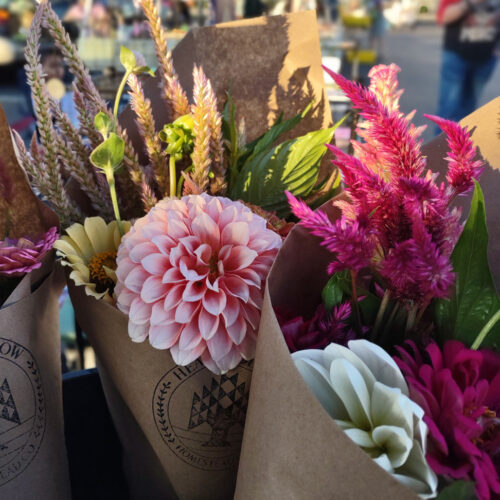 Fall Flower Subscription (mid August - September) - Image 5